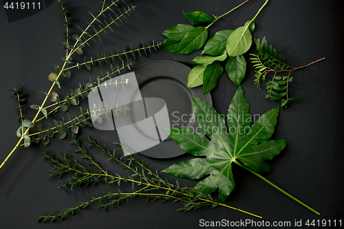 Image of Tools and accessories florists need for making up a bouquet