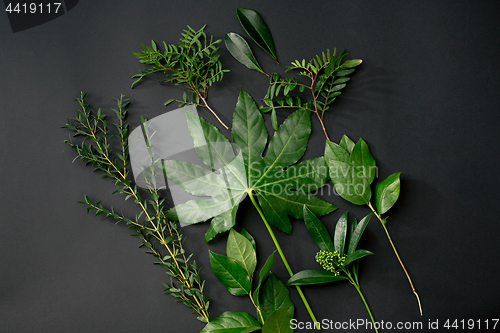 Image of Tools and accessories florists need for making up a bouquet