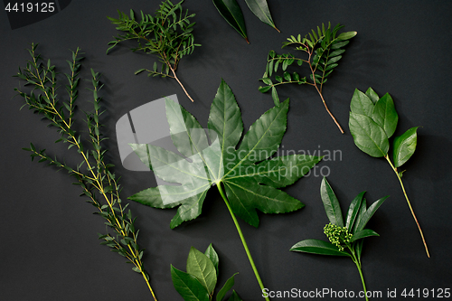 Image of Tools and accessories florists need for making up a bouquet