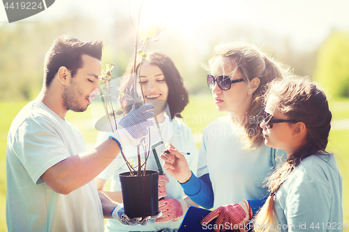 Image of group of volunteers planting trees in park