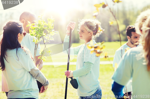 Image of group of volunteers planting trees in park