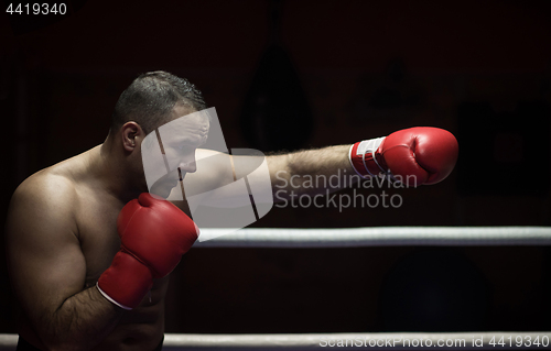 Image of professional kickboxer in the training ring