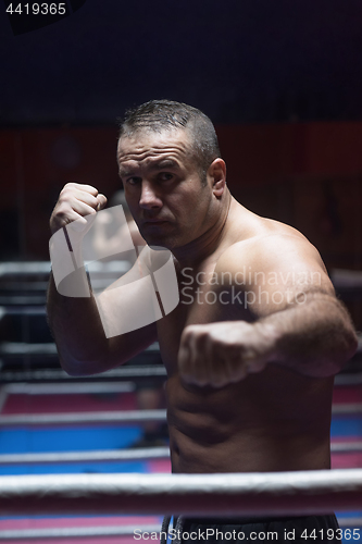 Image of professional kickboxer in the training ring