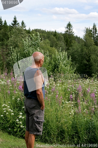 Image of Man standing in a summer meadow