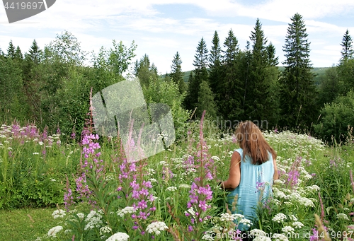 Image of Woman standing in a summer meadow