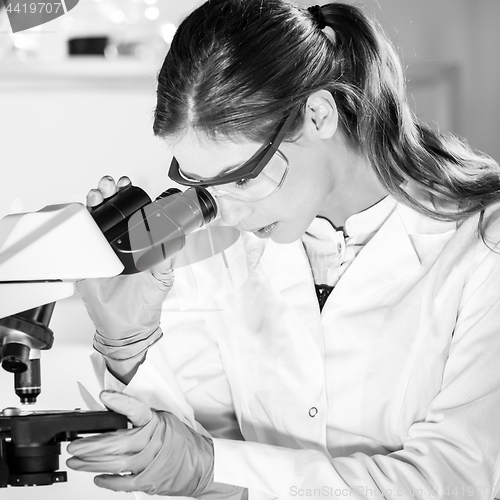 Image of Female health care researchers working in scientific laboratory.