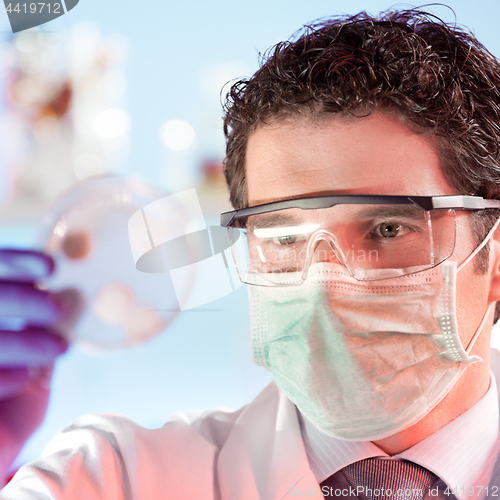 Image of Life science researcher observing cells in petri dish.