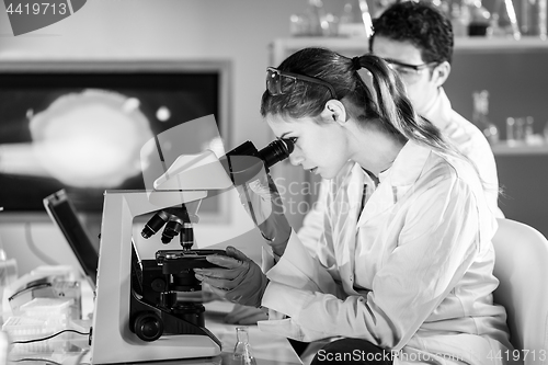 Image of Life scientist researching in the laboratory.