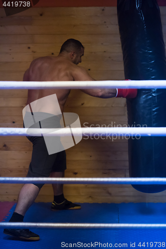 Image of kick boxer training on a punching bag