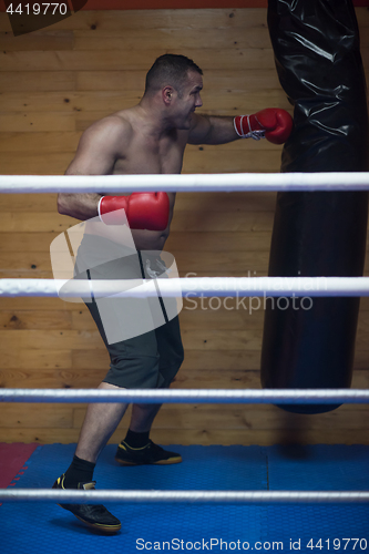 Image of kick boxer training on a punching bag