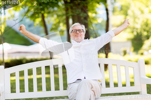 Image of happy senior man in glasses sitting at summer park