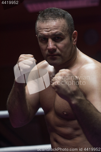 Image of professional kickboxer in the training ring