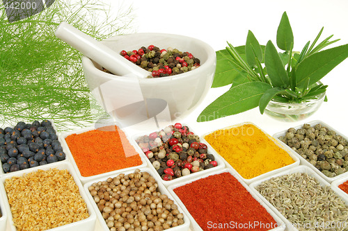 Image of Herbs and spices