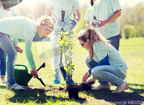 Image of group of volunteers planting tree in park