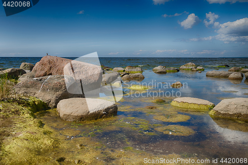 Image of Baltic sea coast in summer vacation