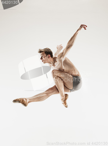 Image of The male athletic ballet dancer performing dance isolated on white background.