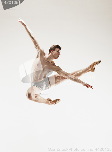 Image of The male athletic ballet dancer performing dance isolated on white background.