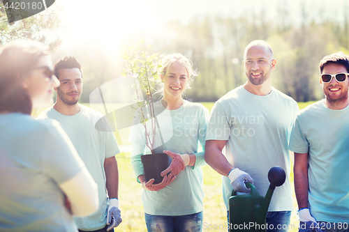 Image of group of volunteers with tree seedling in park