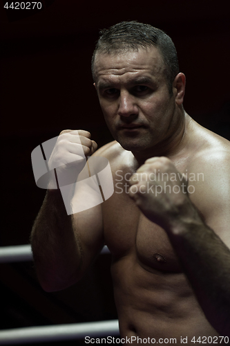 Image of professional kickboxer in the training ring