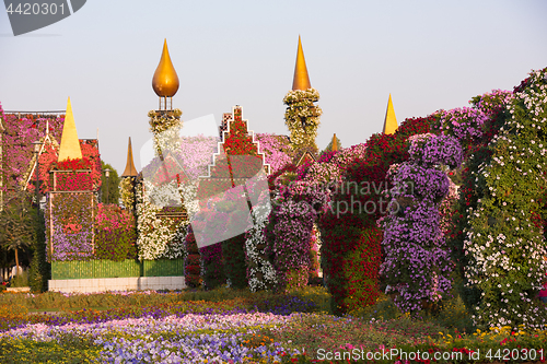 Image of Dubai miracle garden