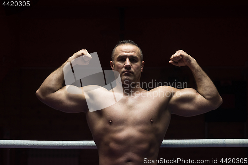 Image of portrait of muscular professional kickboxer