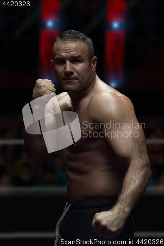 Image of professional kickboxer in the training ring