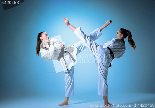 Image of The studio shot of group of kids training karate martial arts