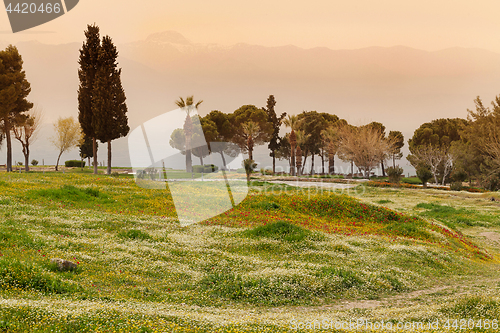 Image of Park in Hierapolis near Pamukkale, Turkey