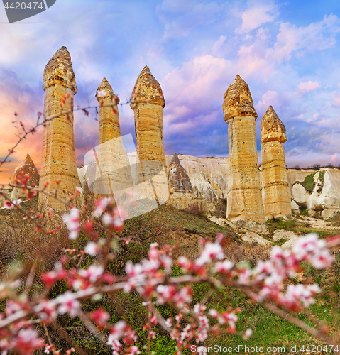 Image of Spring in Love valley near Goreme, Turkey