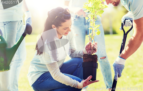 Image of group of volunteers planting tree in park