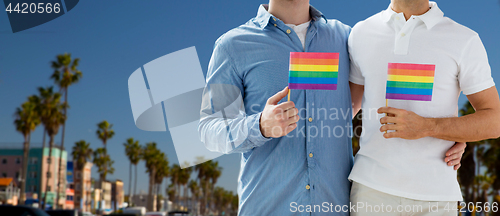 Image of male couple with gay pride flags in los angeles