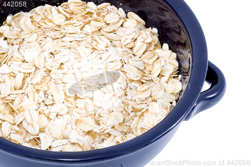 Image of Bowl of Oatmeal