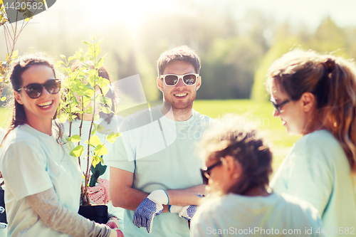 Image of group of volunteers planting trees in park