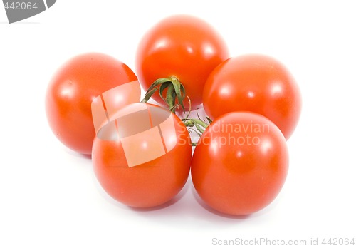 Image of Tomatoes