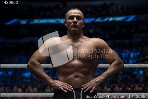 Image of professional kickboxer in the training ring