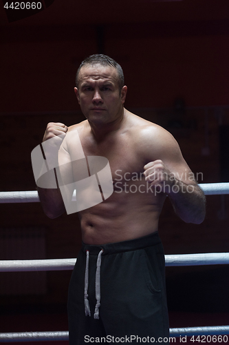 Image of professional kickboxer in the training ring