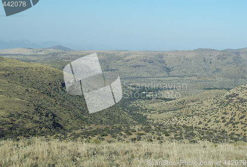 Image of Mountain zebra national park