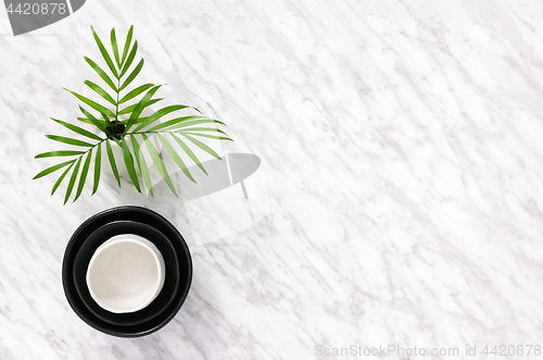 Image of Ceramics and palm leaves on marble background