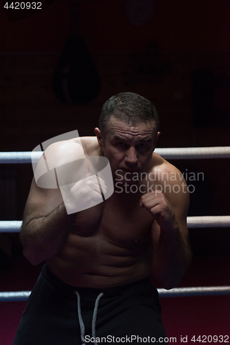 Image of professional kickboxer in the training ring