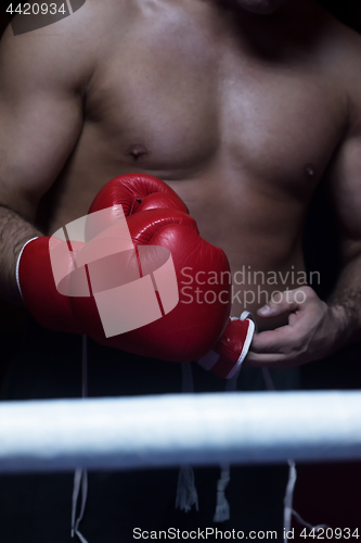 Image of kick boxer with a focus on the gloves