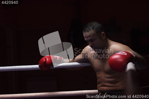 Image of kick boxer resting on the ropes in the corner