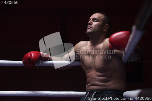 Image of kick boxer resting on the ropes in the corner