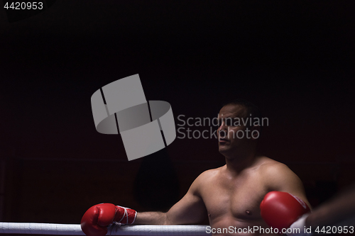 Image of kick boxer resting on the ropes in the corner