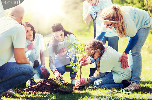 Image of group of volunteers planting tree in park