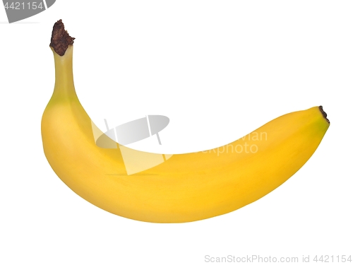 Image of Banana on white