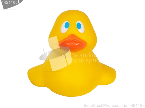 Image of Yellow rubber duck