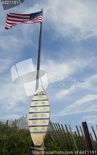 Image of editorial surfer rules on surf board Montauk, New York