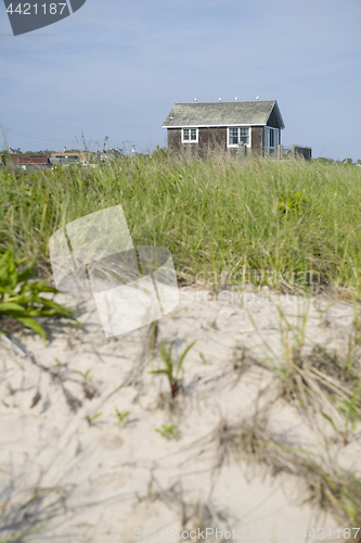 Image of old beach house in scrub brush Ditch Plains Montauk New York