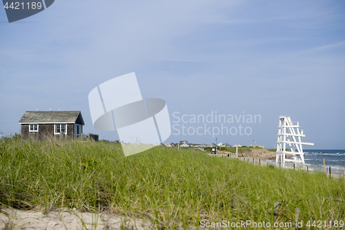 Image of beach scene with grass Ditch Plains Montauk New York