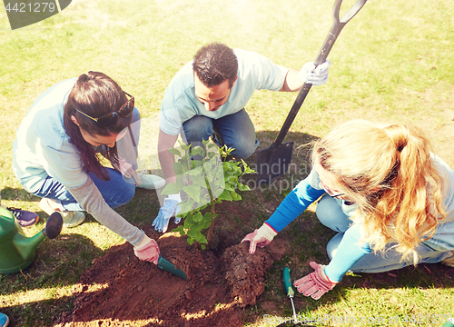 Image of group of volunteers planting tree in park